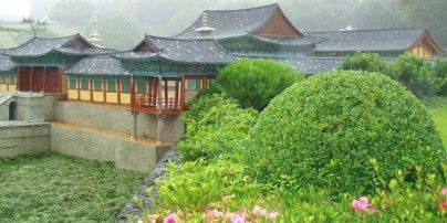 recent-image1