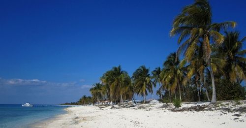 recent-image1