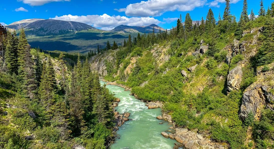 Serenade of the Seas ile Alaska (Uçaklı Paket)-6