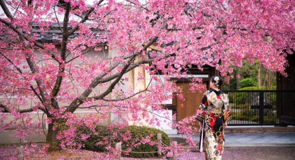 Diamond Princess ile Kurban Bayramında Japonya (Uçaklı Paket)-10