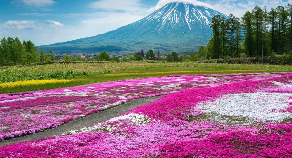 Costa Serena ile Baştan Sona Japonya & Güney Kore (Uçaklı Paket)-12