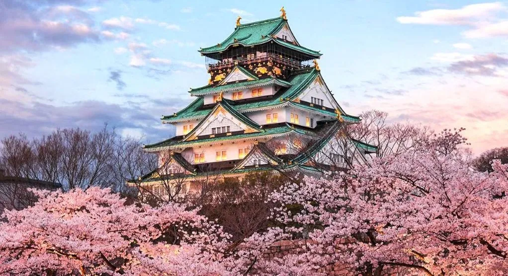 Diamond Princess ile Japonya & Güney Kore (Uçaklı Paket)-6