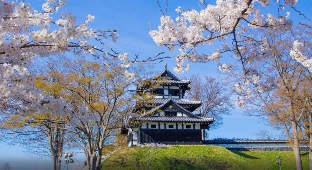 Spectrum of the Seas ile Vizesiz Uzakdoğu (Uçaklı Paket)-7